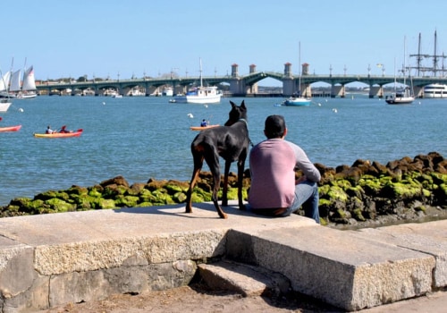 The Pet-Friendly Irish Festivals in Leon County, FL: A Guide for Pet Owners